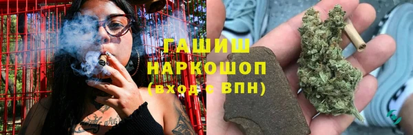 индика Гусь-Хрустальный