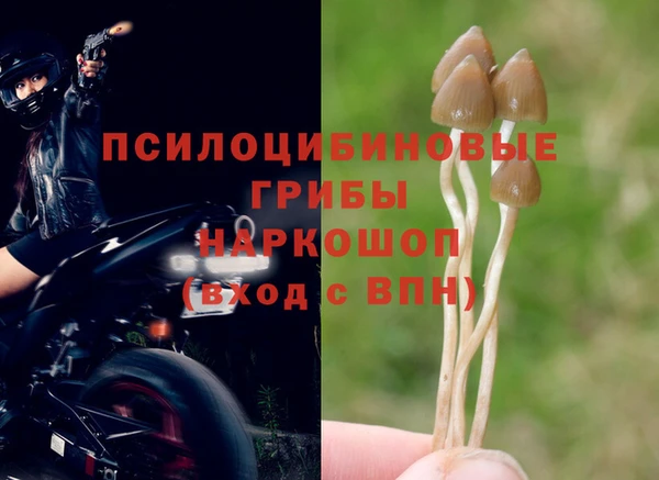 MESCALINE Нязепетровск